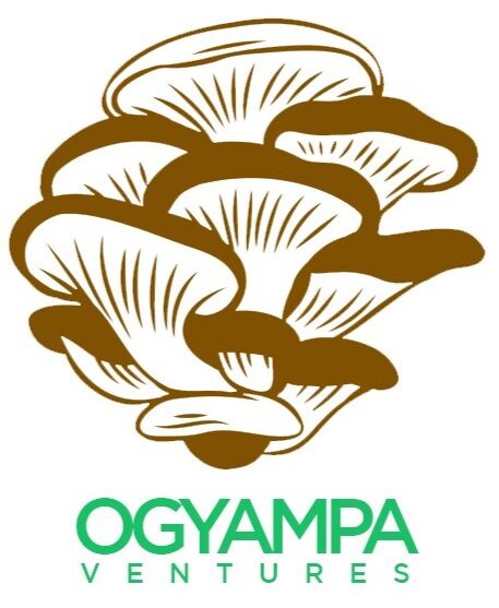  OGYAMPA VENTURES 